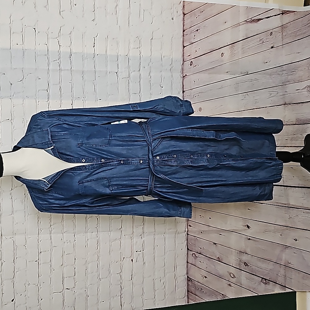 LAURA SCOTT Missy Denim Shirt Dress
